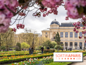 Visuel Paris 5e -  jardin des plantes - museum - printemps - cerisiers