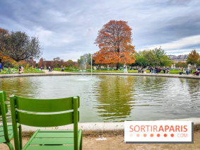 Visuel Paris 1er - jardin des Tuileries automne