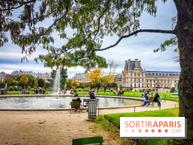 Visuel Paris 1er - jardin des Tuileries automne