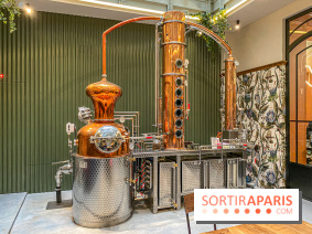 La Distillerie de l’Arbre Sec : l'atelier de création de gin à deux pas du Louvre