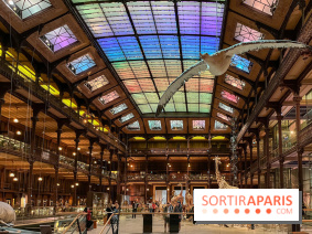 Grande Galerie de l'évolution- visuels 2024