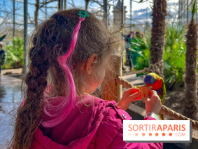 Visuels enfants, attractions, parc, Jardin d'Acclimatation, animaux, zoo
