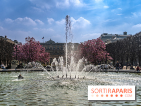 Les magnolias du Jardin du Palais Royal  - printemps - visuel Paris - fontaine - chaleur - beau temps