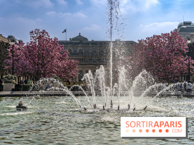 Les magnolias du Jardin du Palais Royal  - printemps - visuel Paris - fontaine - chaleur - beau temps