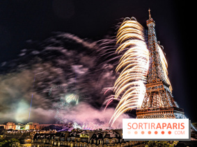 Feu d'artifice du 14 juillet de Paris 2024, les photos