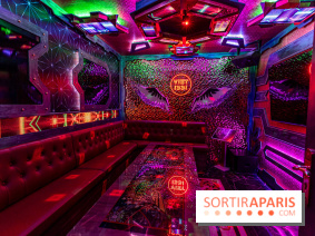 Viet 1331, le restaurant karaoké vietnamien immersif du 13e -  salle karaoké