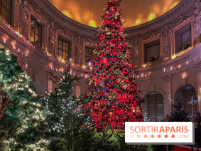 Noël 2024 au Château de Vaux-le-Vicomte : une expérience magique avec une patinoire