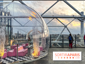 Bulle de rêves : la terrasse d'hiver du restaurant George au sommet du Centre Pompidou - IMG 5327 jpg