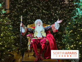 Le Parcours du Roi, la visite-spectacle de Noël 2024 du Château de Versailles - FullSizeRender 29