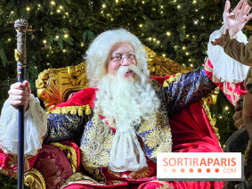 Le Parcours du Roi, la visite-spectacle de Noël 2024 du Château de Versailles - IMG 6301 jpg 2