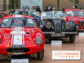 Bonhams I Cars au Grand Palais : exposition de voitures d'exception