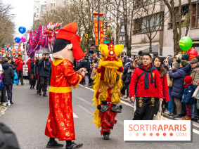 Défilé du Nouvel an Lunaire - Chinois 2025 Paris 13e - les photos