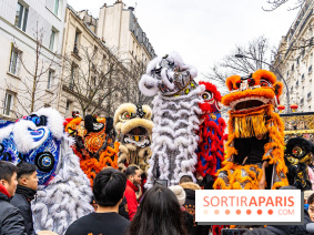 Défilé du Nouvel an Lunaire - Chinois 2025 Paris 13e - les photos - A7C1606