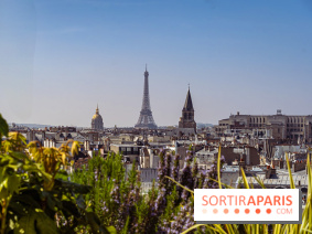 Rooftop de Dame des Arts, la terrasse panoramique sur les toits de Paris - photos  - A7C06281