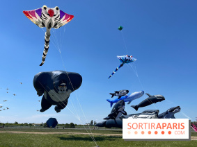 Festival de Cerfs-Volants à la Base 217