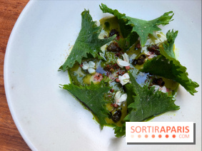 Pantobaguette - Ravioles de shiso ricotta fumée