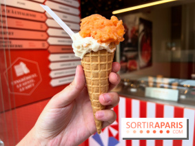 La Glace Alain Ducasse - Sorbet pamplemousse-vermouth, glace cacahuètes