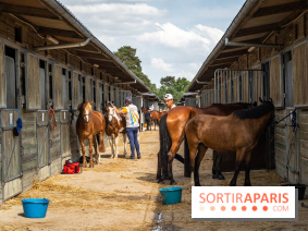 Le Grand Parquet Fontainebleau - photos  - A7C02567