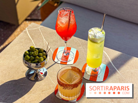Bar Les Ombres : cocktails & tapas sur le rooftop du Musée du Quai Branly avec vue sur la tour Eiffel
