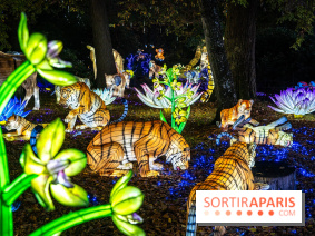 Thoiry Lumières Sauvages 2025 : le Bal des Esprits - A7C09485