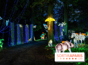 Thoiry Lumières Sauvages 2025 : le Bal des Esprits - A7C09500