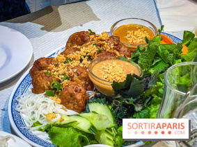 Le Bambou restaurant vietnamien Paris 13e - photos - new nuong