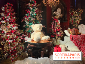 Le Grand Noël 2025 du château de Vaux-le-Vicomte : des décorations magiques pour une balade hivernale mémorable - fotor 1763143980196