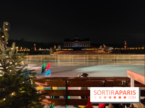 Le Grand Noël 2025 du château de Vaux-le-Vicomte : des décorations magiques pour une balade hivernale mémorable - fotor 1763143267766