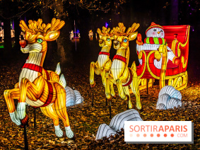 L'Odyssée Lumineuse au Parc Floral 2025, les photos - A7C01845