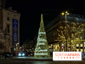 Les illuminations de Noël 2025 du Boulevard Haussmann - IMG 2430