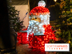 Le Marché de Noël d'Elancourt dans les Yvelines 2025 - photos - A7C02571