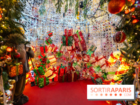 Ce passionné en Essonne transforme son jardin en Village de Noël à visiter gratuitement