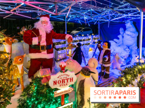 Ce passionné en Essonne transforme son jardin en Village de Noël à visiter gratuitement