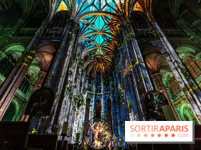 L'Odyssée Céleste à l'église Saint-Eustache à Paris, le nouveau spectacle Luminiscence 