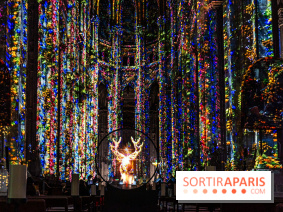 L'Odyssée Céleste à l'église Saint-Eustache à Paris, le nouveau spectacle Luminiscence 