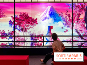 Passion Japon : exposition, installations immersives et street food japonaise à La Villette, à Paris - IMG 7492