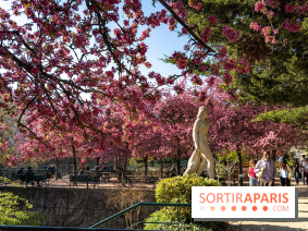 Les pommiers et cerisiers en fleurs du Jardin de Reuilly, Parc de Reuilly à Paris 12e - photos