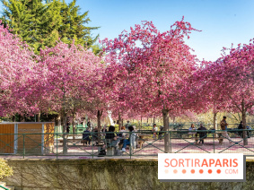 Les pommiers et cerisiers en fleurs du Jardin de Reuilly, Parc de Reuilly à Paris 12e - photos  - table pique nique 