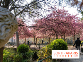 Les pommiers et cerisiers en fleurs du Jardin de Reuilly, Parc de Reuilly à Paris 12e - photos  - A7C09294