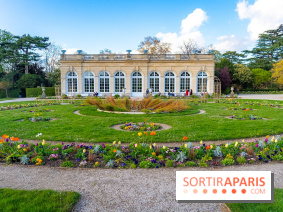 Le Parc de Bagatelle au printemps, cerisier, tulipes et jonquilles - photos - A7C00842