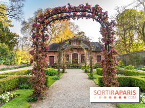 Le Parc de Bagatelle au printemps, cerisier, tulipes et jonquilles - photos - A7C00854