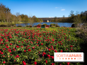 Les tulipes du Château de Dampierre, son jardin anglais et le jardin Le Nôtre - IMG 2850