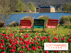 Les tulipes du Château de Dampierre, son jardin anglais et le jardin Le Nôtre - IMG 2853