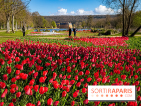 Les tulipes du Château de Dampierre, son jardin anglais et le jardin Le Nôtre