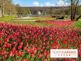 Les tulipes du Château de Dampierre, son jardin anglais et le jardin Le Nôtre
