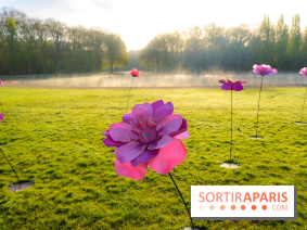 Hanami au Parc de Sceaux 2026, les cerisiers en fleurs et ses  animations - A7C01368