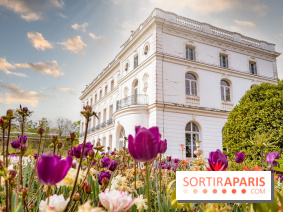 Le Château de Buc et son superbe domaine, parc paysagé aux nombreux trésors - A7C03222 Edit
