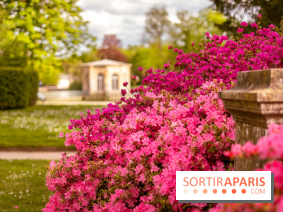 Parc et Jardins du Château de Fontainebleau - les photos  - A7C04486