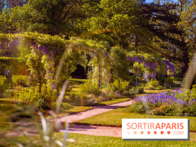 Le Parc des Ibis au Vésinet dans les Yvelines en Région Parisienne - photos  - A7200695 2