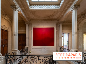 La Maison Guimet (Hôtel d'Heidelbach) - les photos